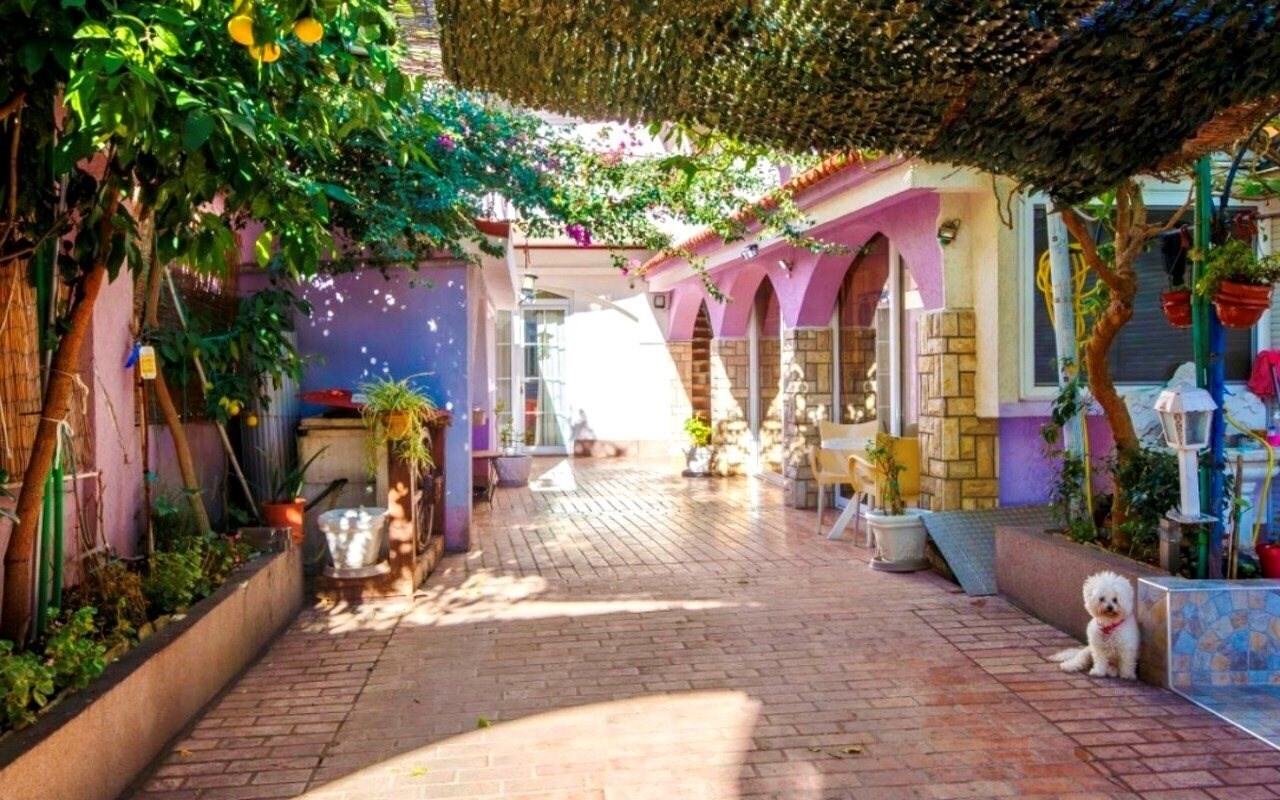 Фотографія Guest House Violet Aparthotel 2*