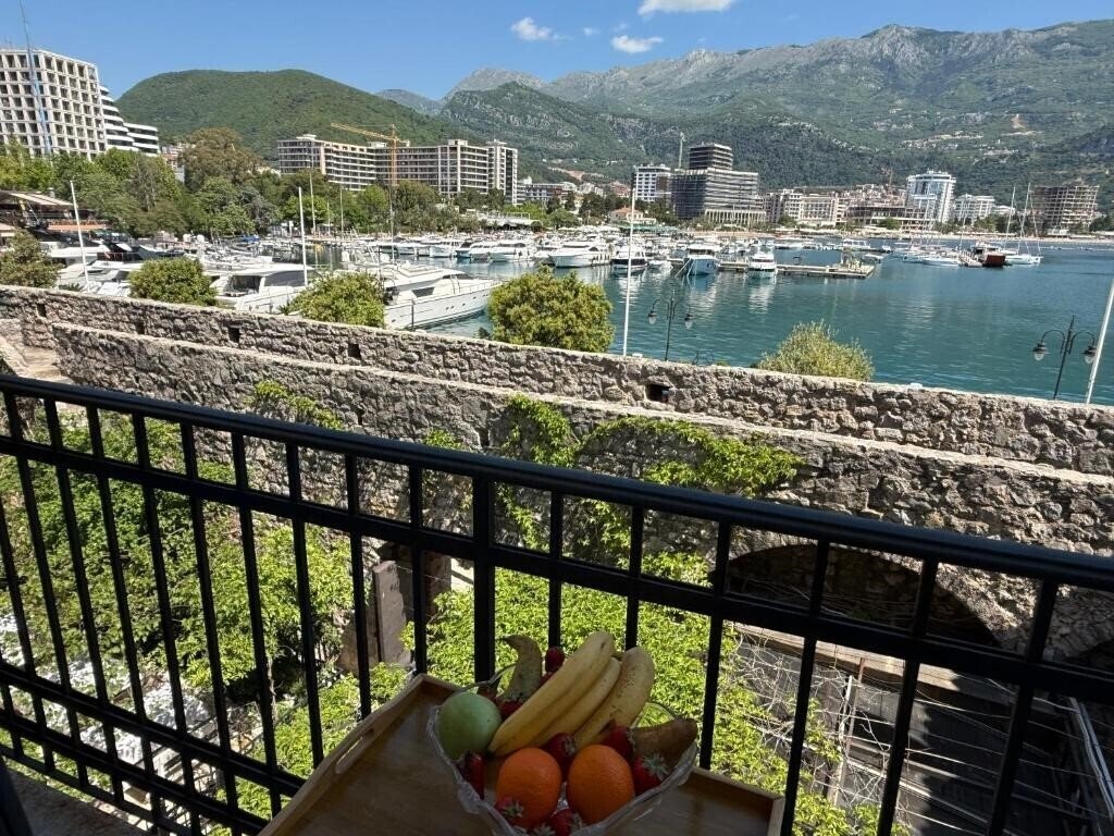 Отель Apartments Aleksic Old Town (ex. Lux Apartmani) 4*