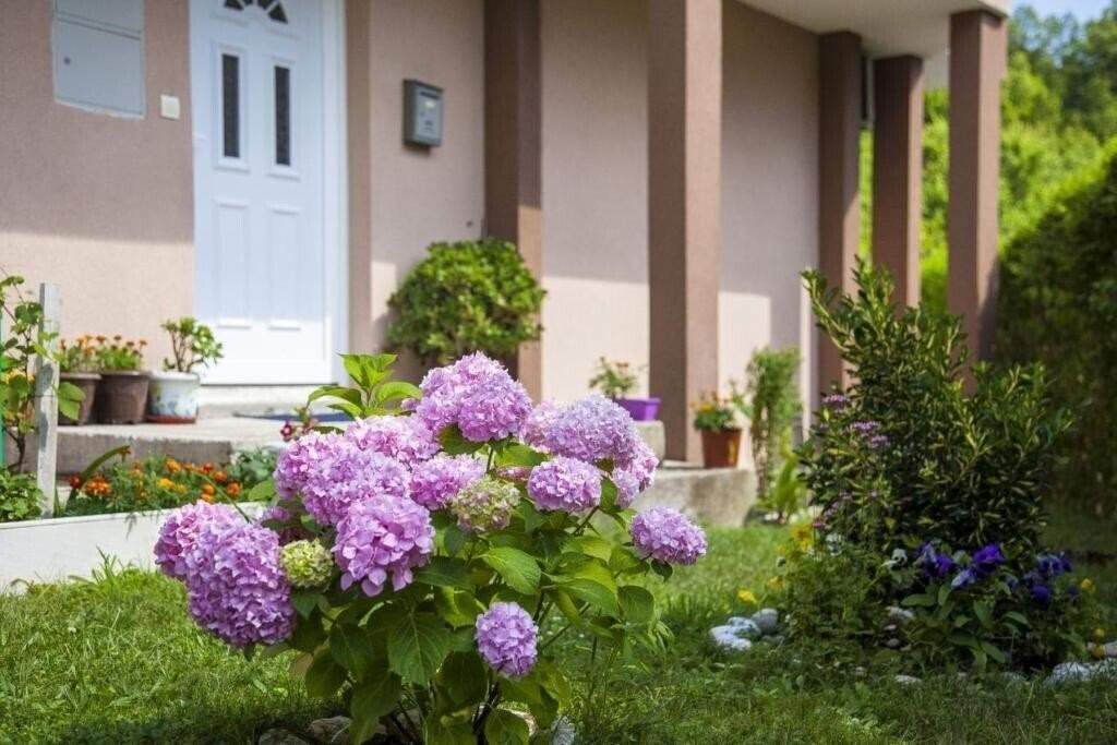 Фотографія Villa Bulajic вилла