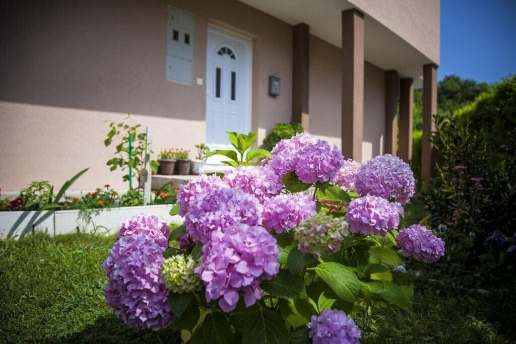 Зображення Villa Bulajic вилла