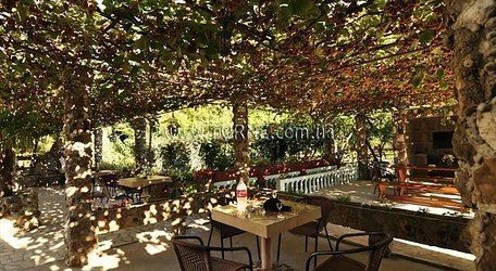 Отель Radonjic 3*