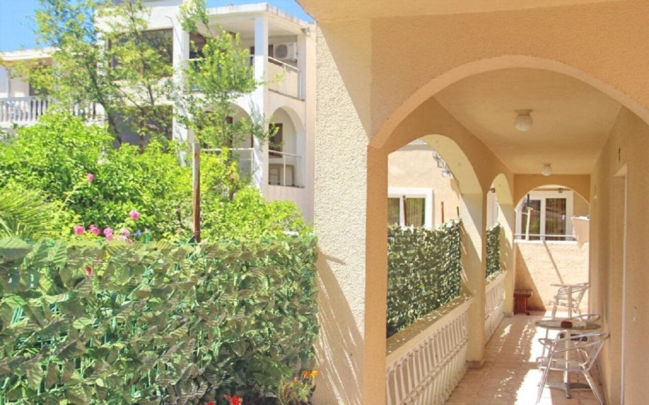 Фотография Micic 3*