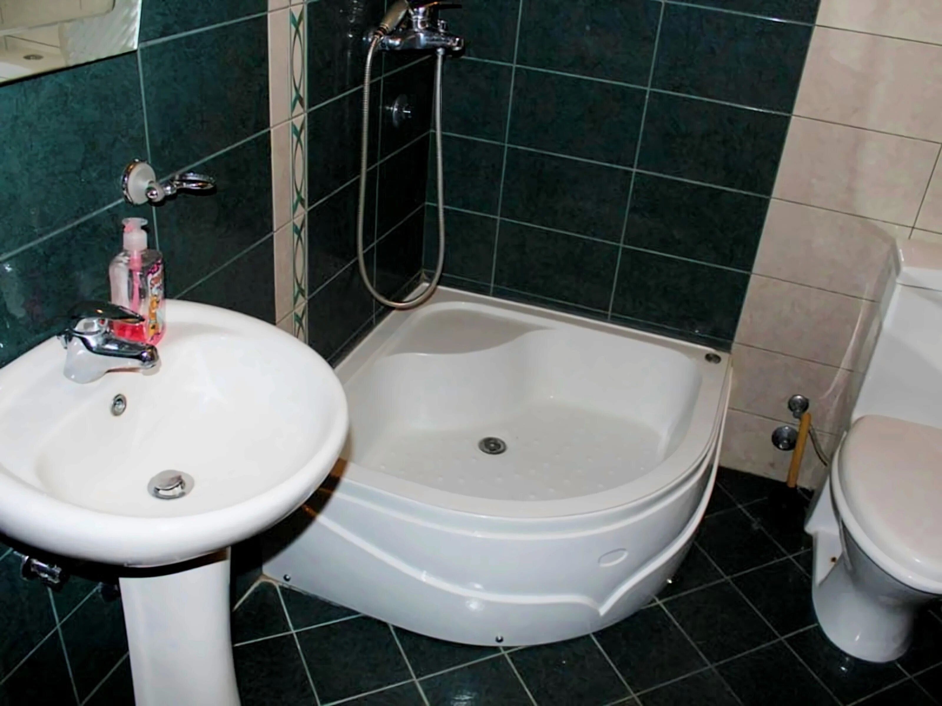 Картинка Villa Larisa Budimic 3*