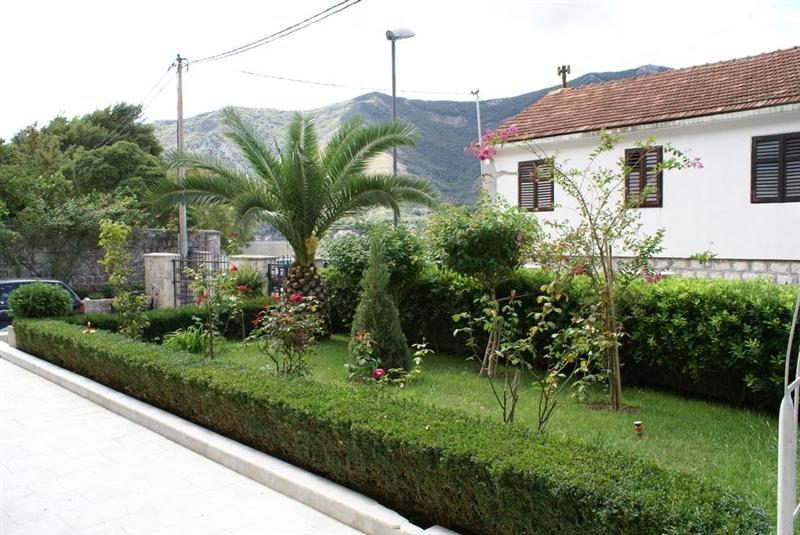 Зображення Radulovic 4*