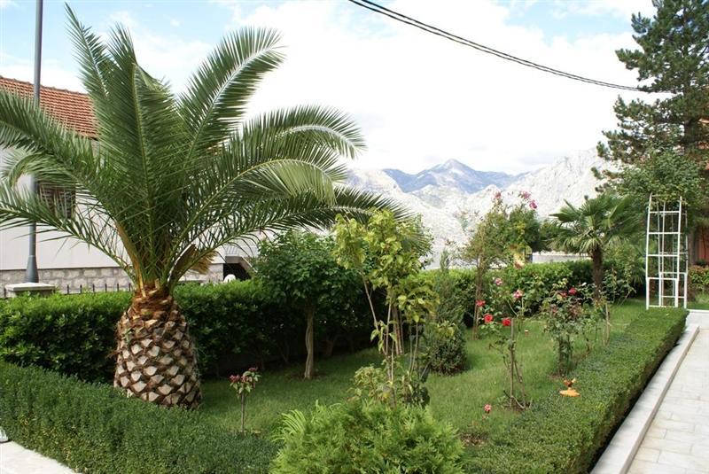 Картинка Radulovic 4*