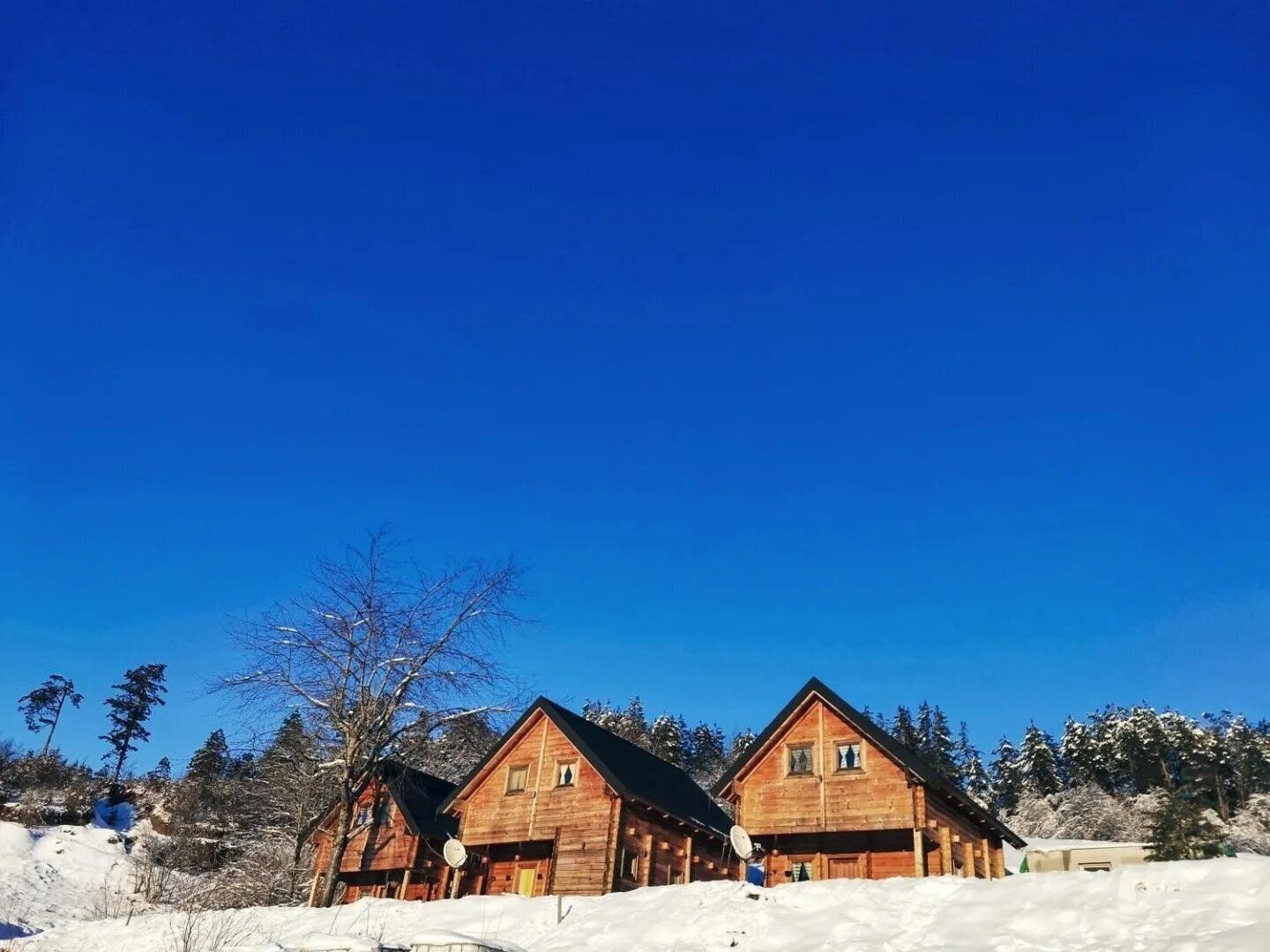 Отель Sunny Hill 3*