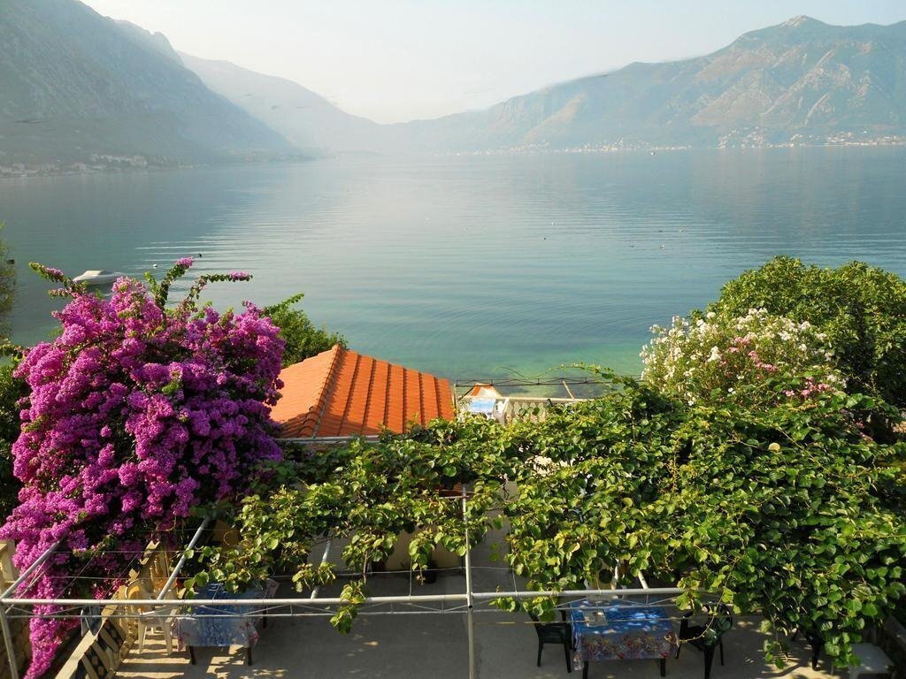 Фотография Villa Radojkovici 3*