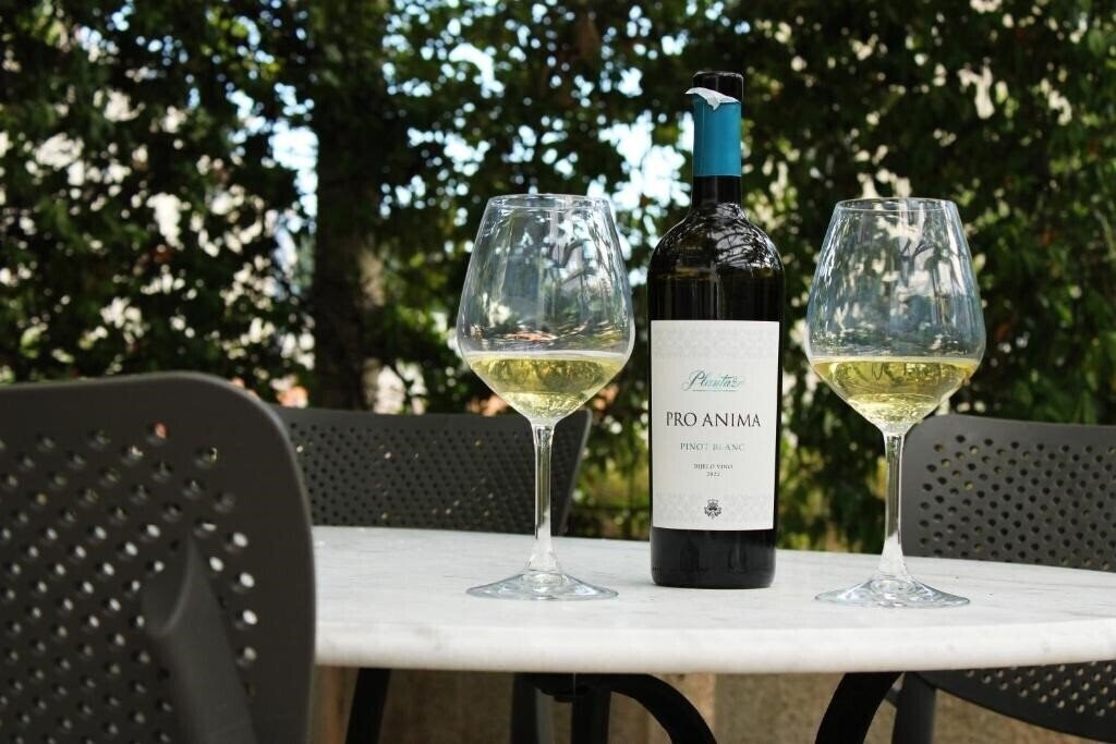 Фотографія Villa Mila 4*