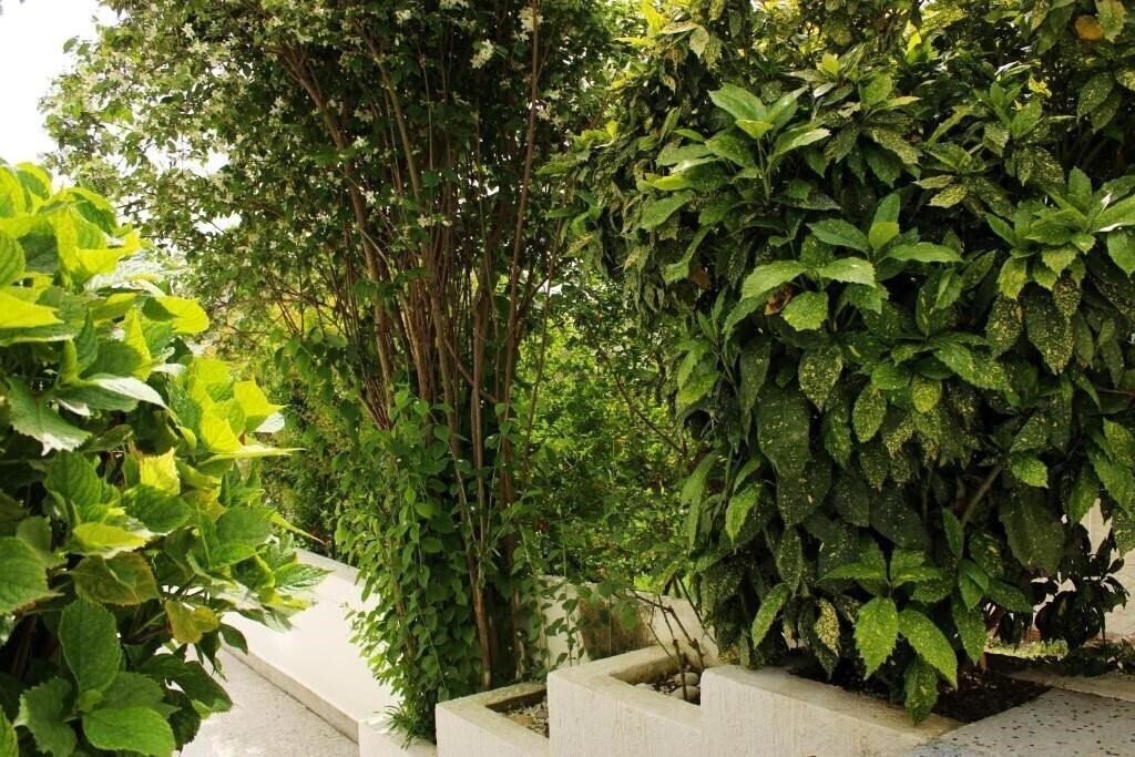 Картинка Villa Mila 4*