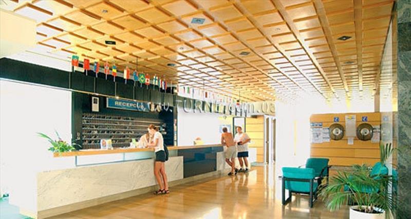 Картинка Niko 3*