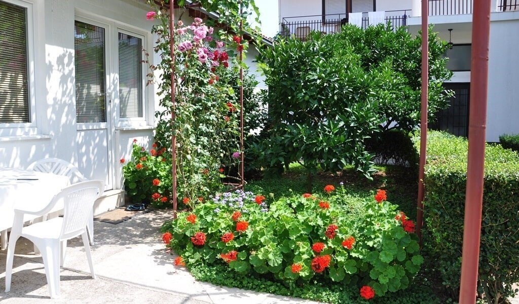 Фото Petrovic Apart 3*