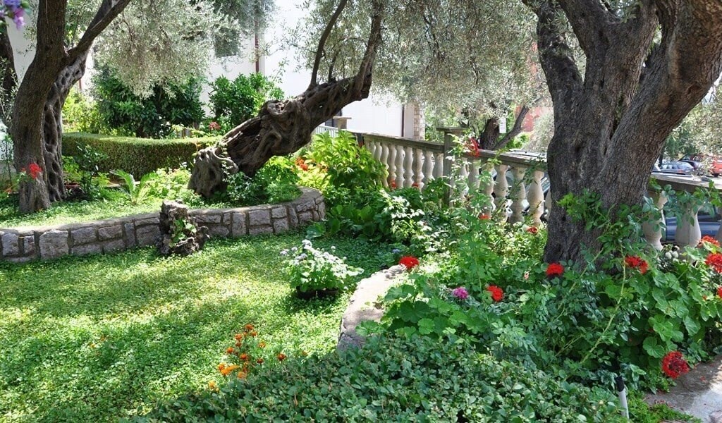 Фотографія Petrovic Apart 3*