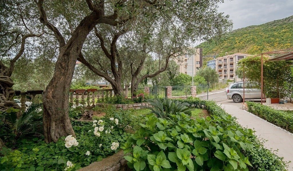 Зображення Petrovic Apart 3*