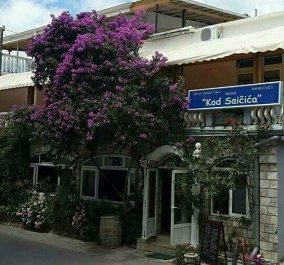 Готель Kod Saicica 3*