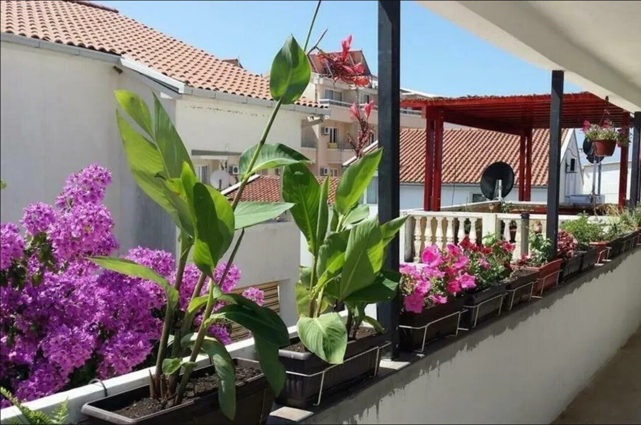 Фотографія Kod Saicica 3*