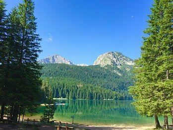 Готель Vojinovic 3*