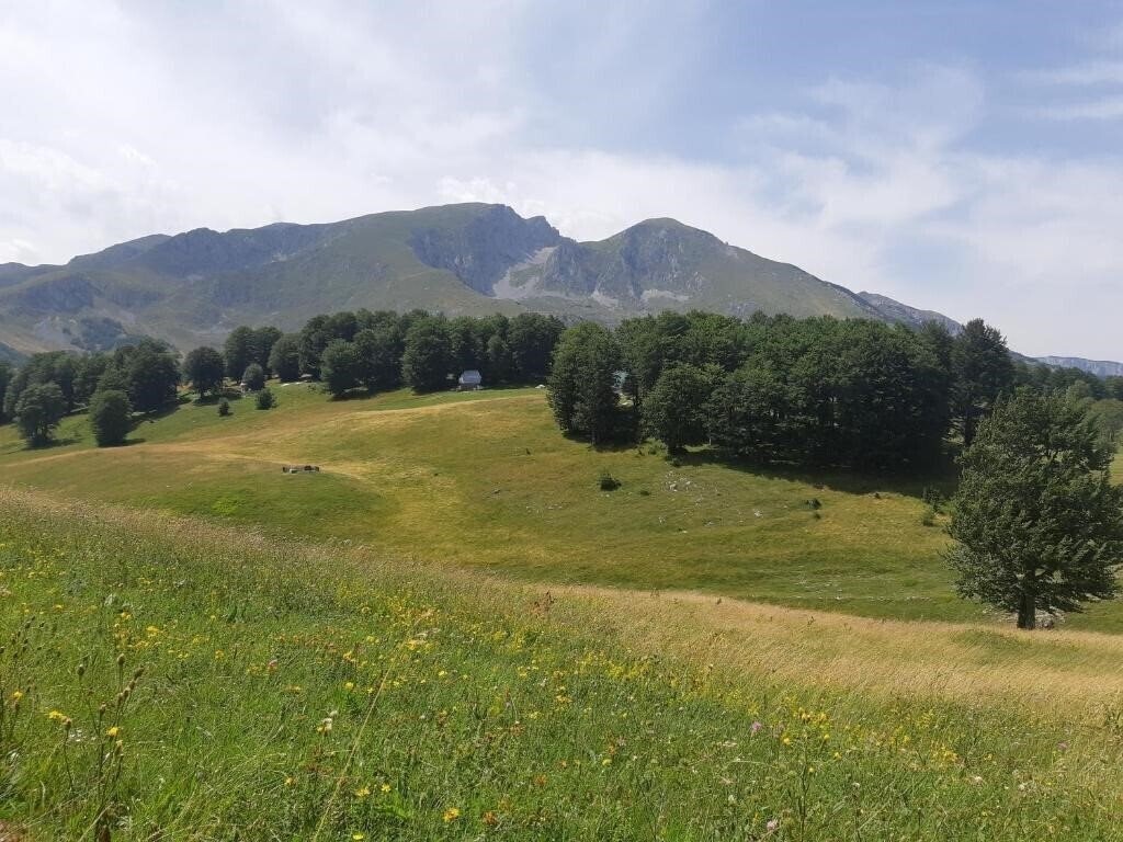 Фотографія Apartments «Durmitorski Konak» 3*