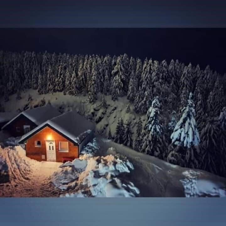 Картинка Lovac 3*