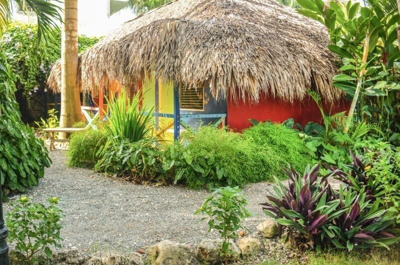 Фотография Cabarete Surfcamp 3*