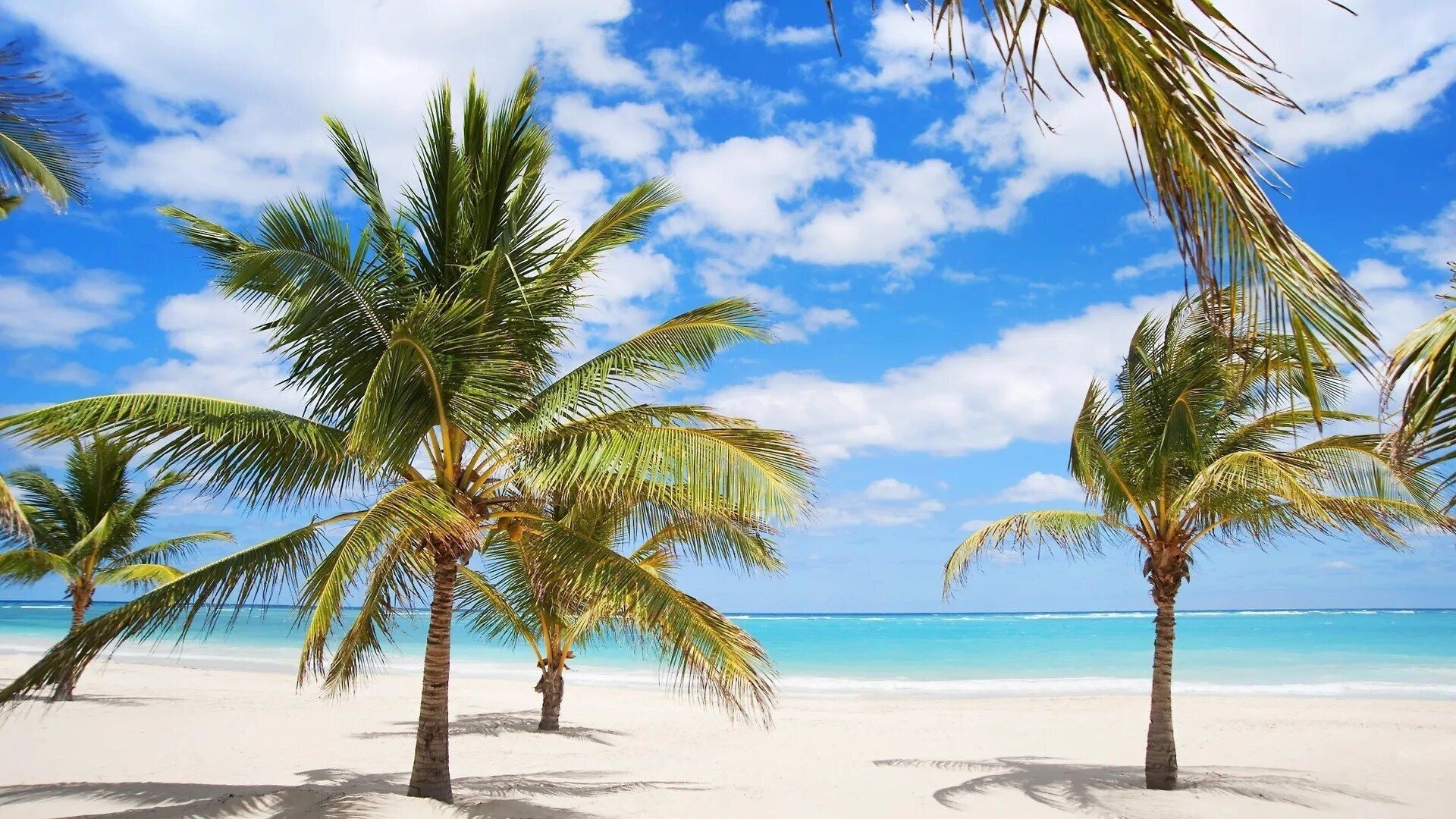 Фотографія Karibo Punta Cana 3*