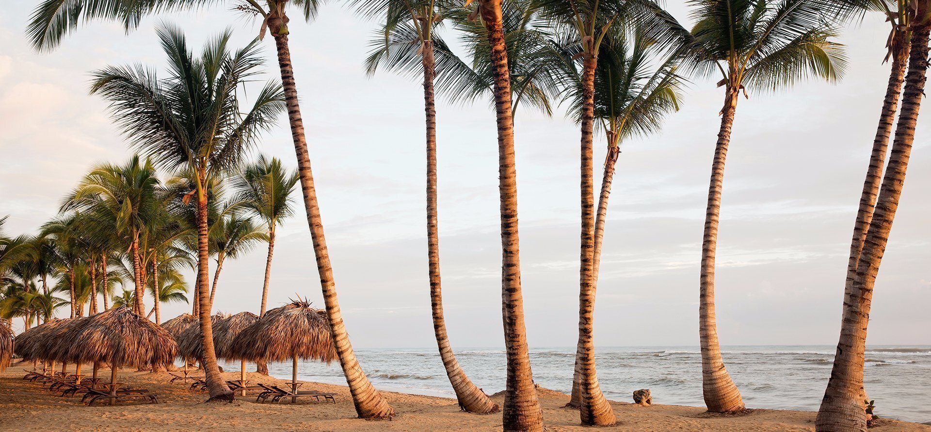 Gotel Excellence El Carmen Punta Kana Dominikana 5 Turi V Gotel Excellence El Carmen Cina Vidguki Foto Gotelyu