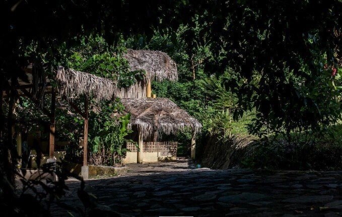 Фото Jurassic Park Hotel + 2*