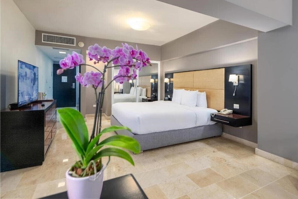 Фото Hotel Plaza Naco 4*