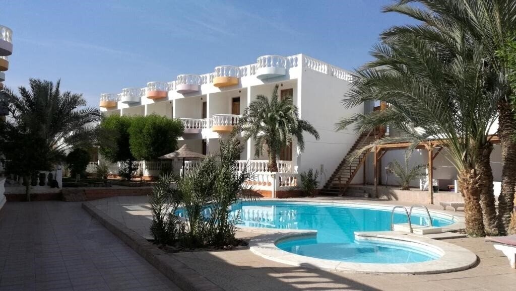 Фото Octopus Hotel (ex. Octopus Dahab, Dahab House Octopus Apartment, Octopus Garden) 3*