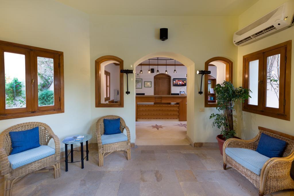 Фотография Ali Pasha 3*