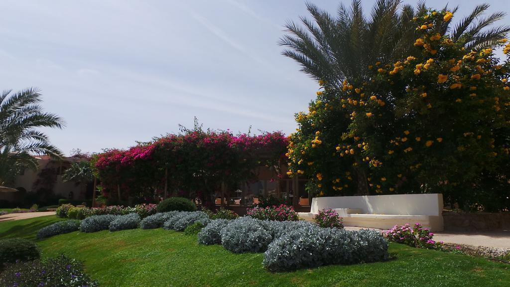 Изображение Sultan Bey Hotel 4*