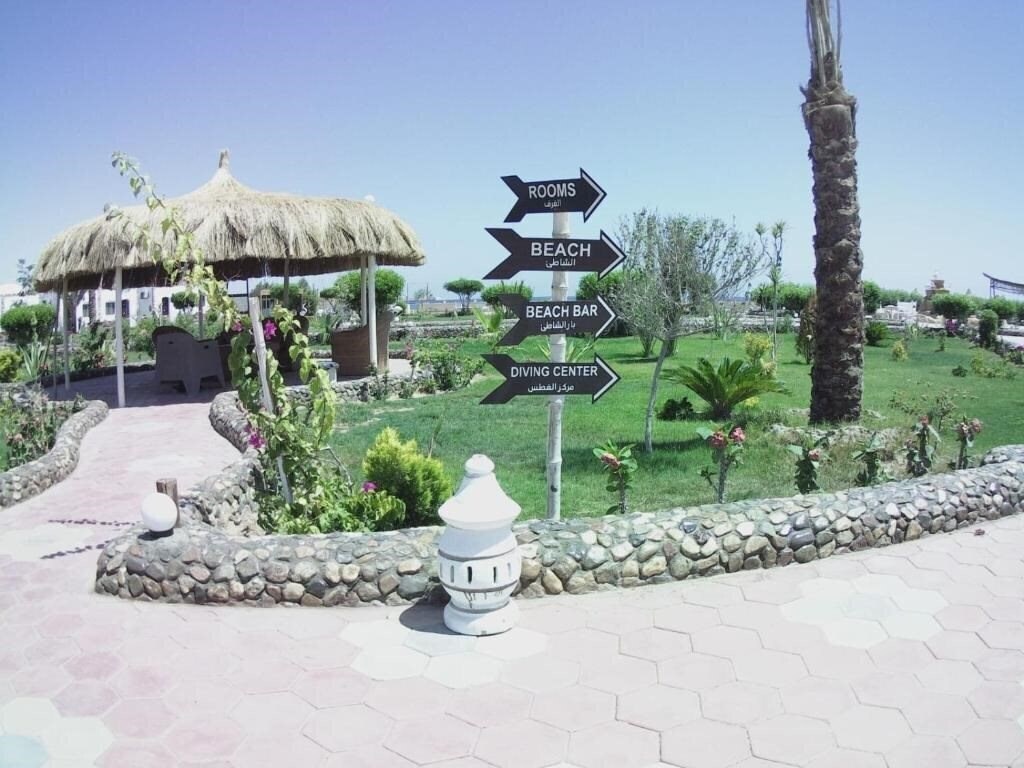 Картинка Dolphin Continental Hotel 3*