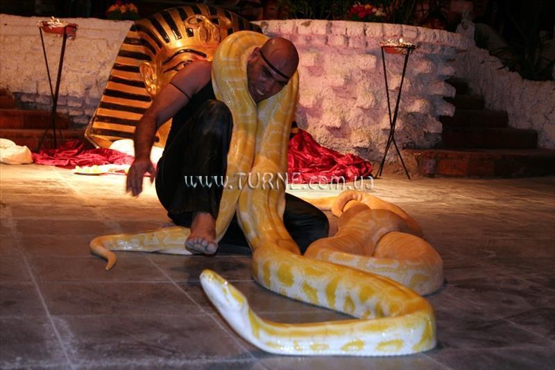 Фото Golden 5 City Al Mas Palace (ex. Al Mas Red Sea Palace, Golden 5 Al Mas Resort, Al Mas Palace Beach Resort) 5*