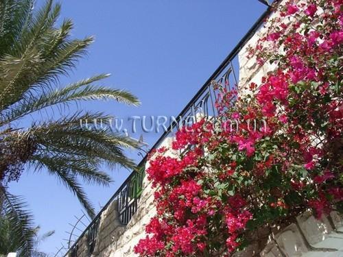 Изображение Jasmine Village 3*