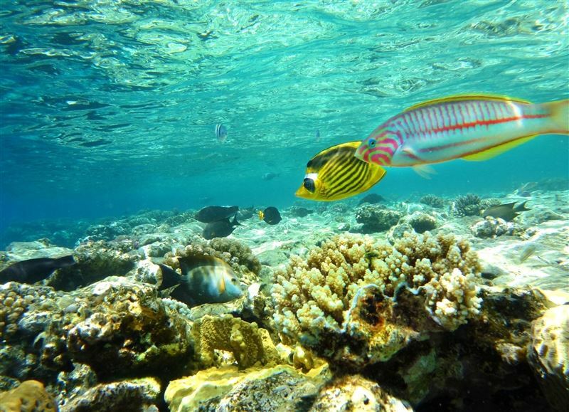 Отель Fortuna / Roulete / Tez Express / Bingo - Aqua Park 5*