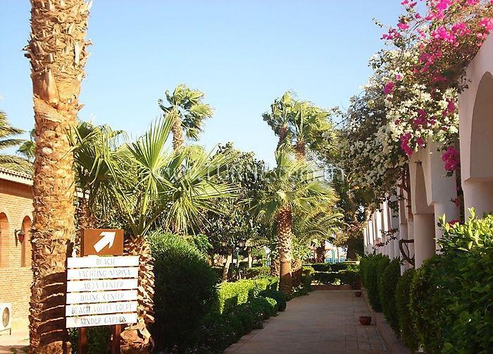 Картинка Al Mashrabiya Resort (ex. Al Mashrabiya Sindbad) 3*