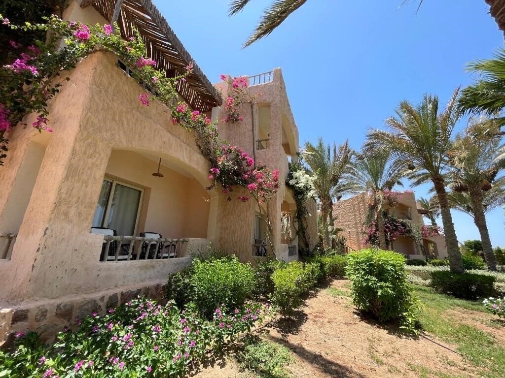 Фотография TH Marsa Alam Blue Lagoon 4*