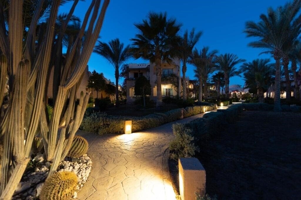 Изображение TH Marsa Alam Blue Lagoon 4*