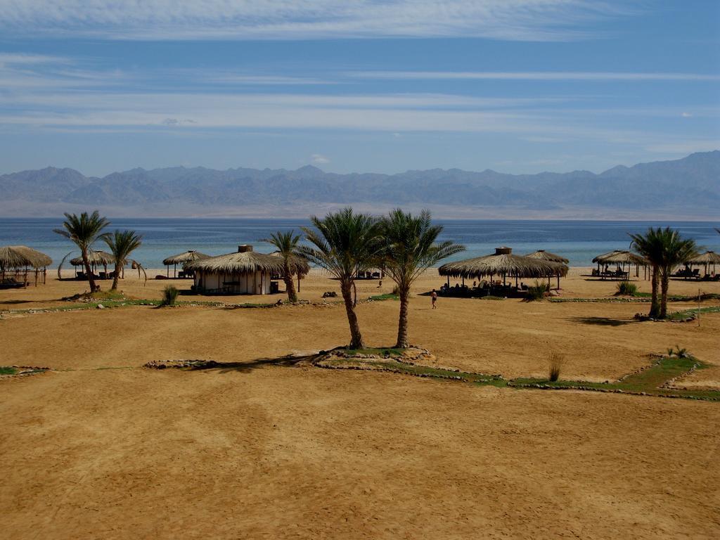 Фотографія Swisscare Nuweiba Resort 3*