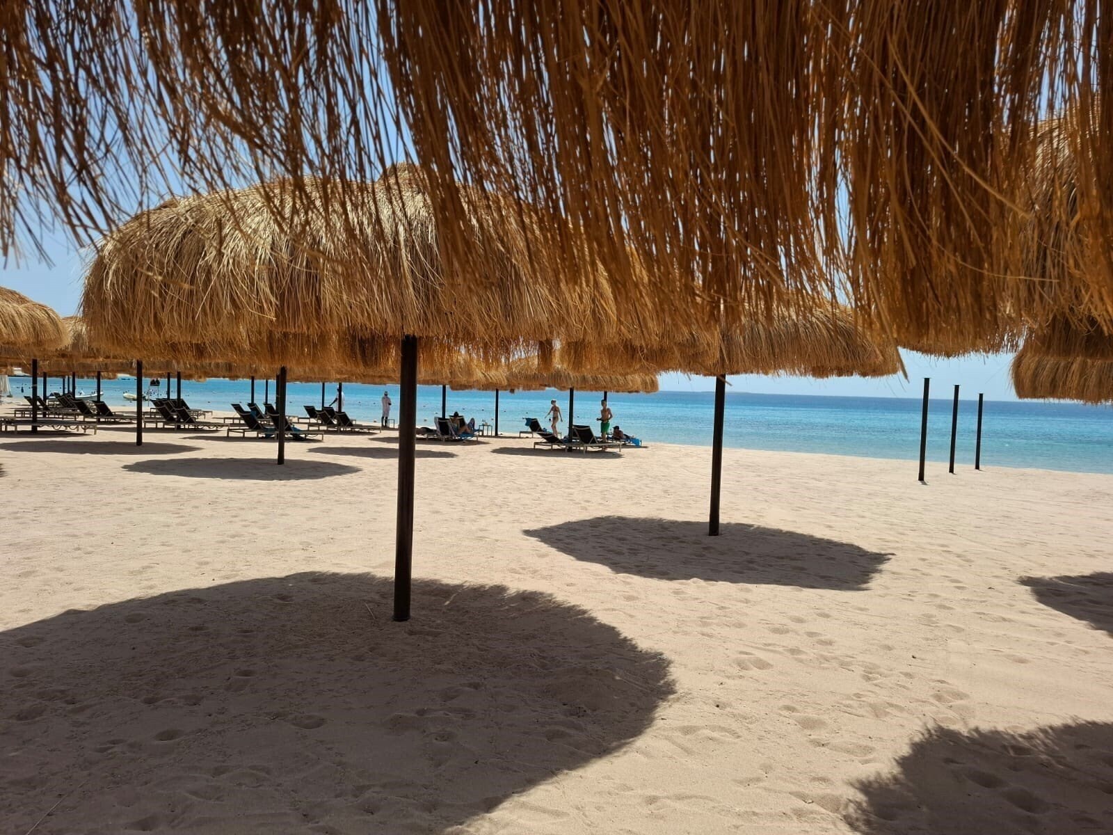 Фотография El Kasr Sahl Hasheesh 5*