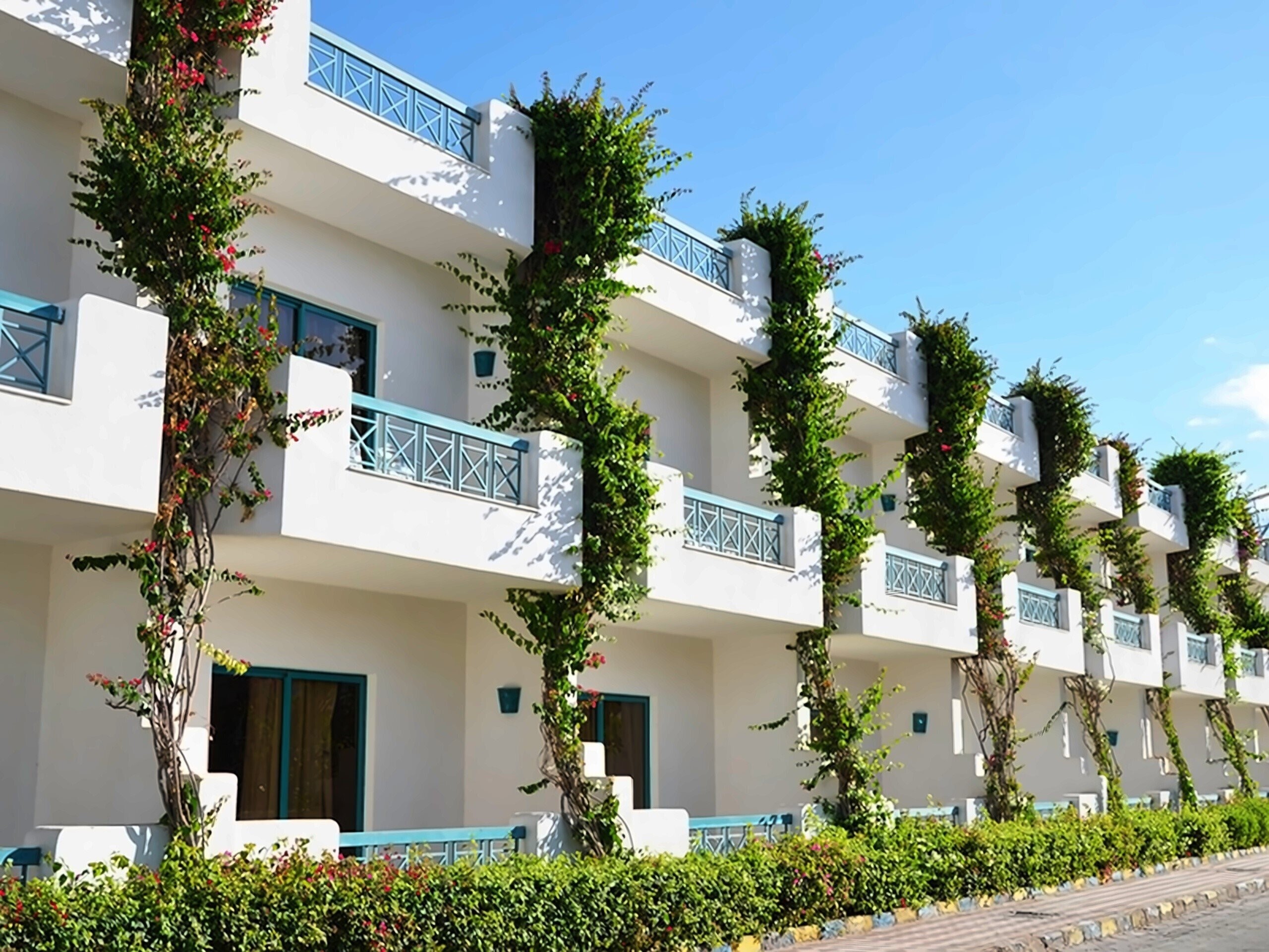 Отель Sharm Cliff Resort 3*