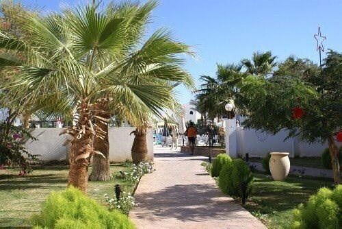 Фотографія Poinciana Sharm Resort (ex. Grand Sharm Resort) 4*