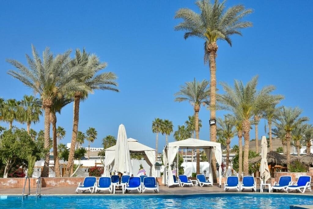 Фотография Seti Sharm Resort 4*