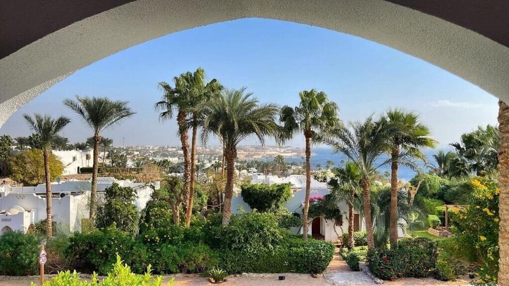 Фото Domina Coral Bay Harem 5*