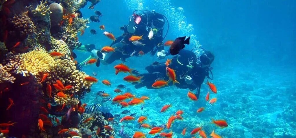 Изображение Baron Cascades Sharm El Sheikh (Adults Only +16) 5*