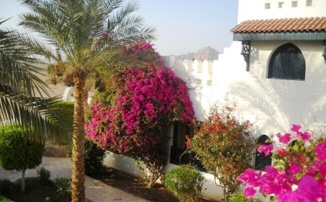 Фотографія Al diwan Hotel (ex. Comfort El Diwan) 3*