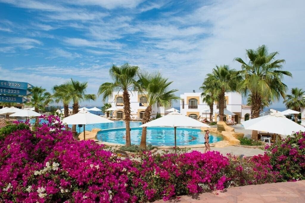 Готель Amphoras Blu (Adults Only 16+) 4*