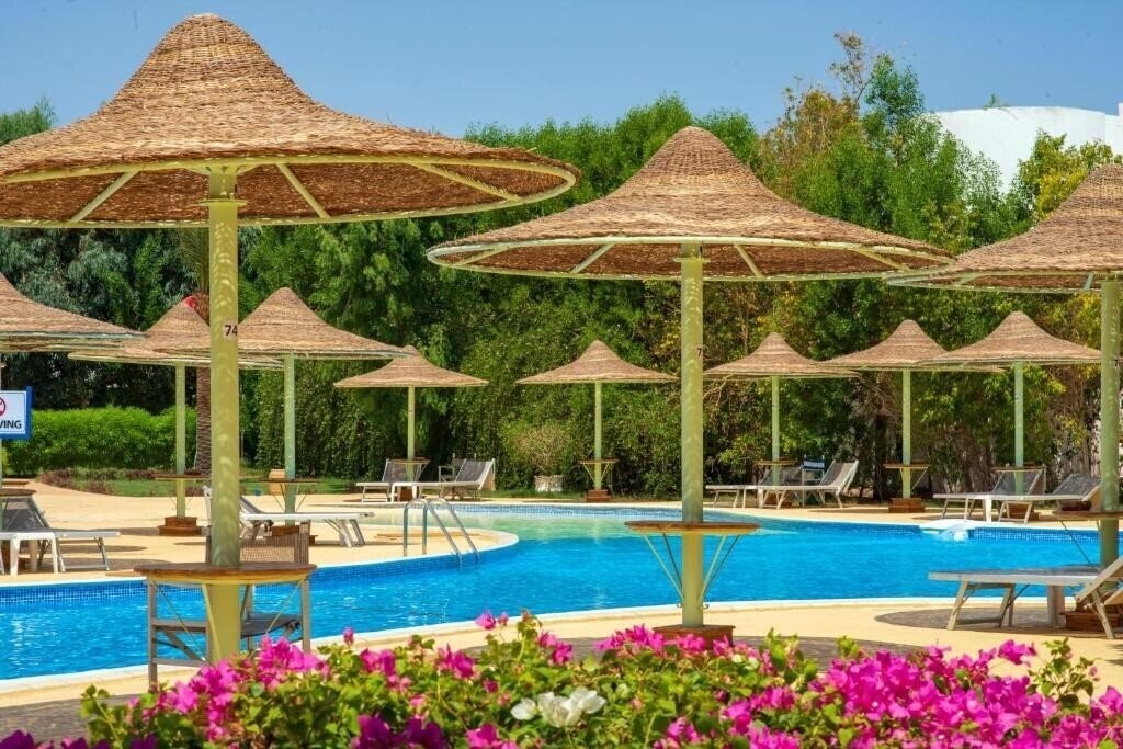 Изображение Sierra Sharm El Sheikh Resort 5*