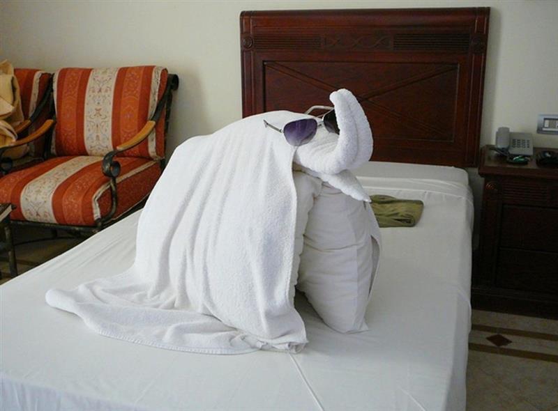 Зображення Imperial Shams Abu Soma 5*