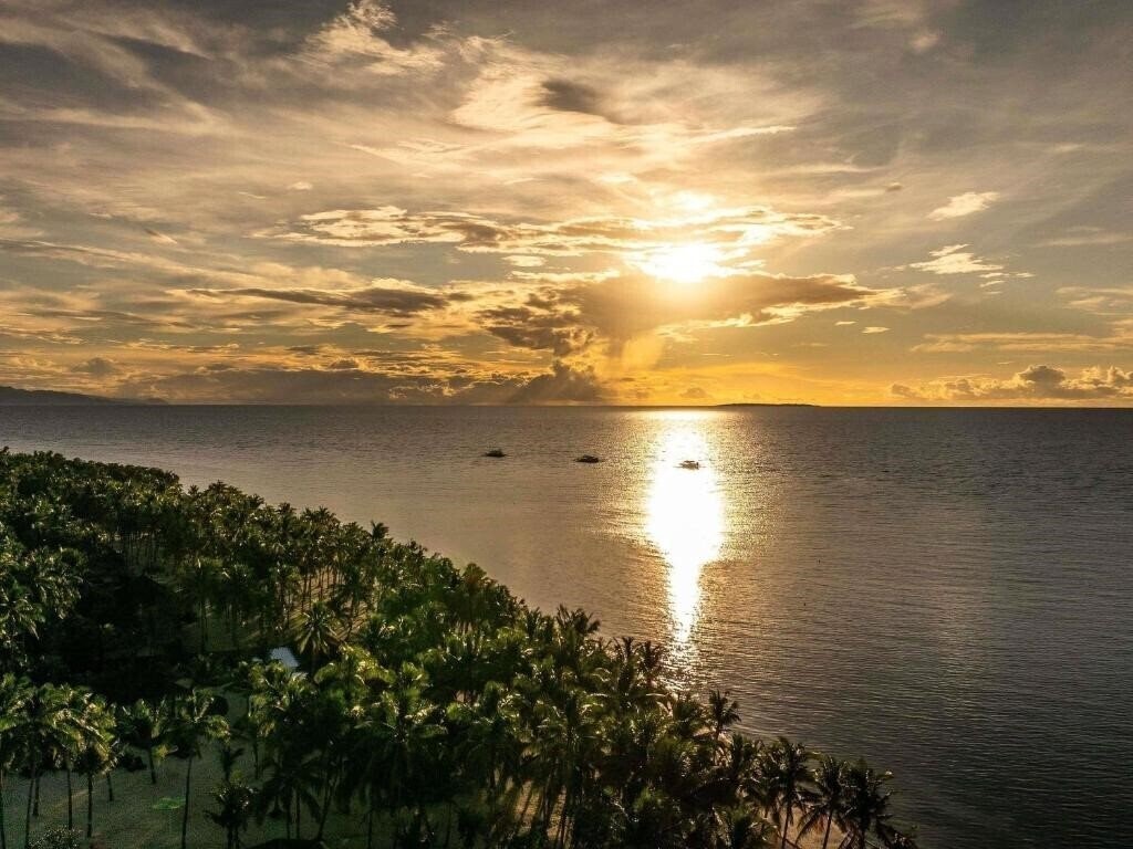 Картинка South Palms Resort & SPA Panglao MGallery Collection 5*