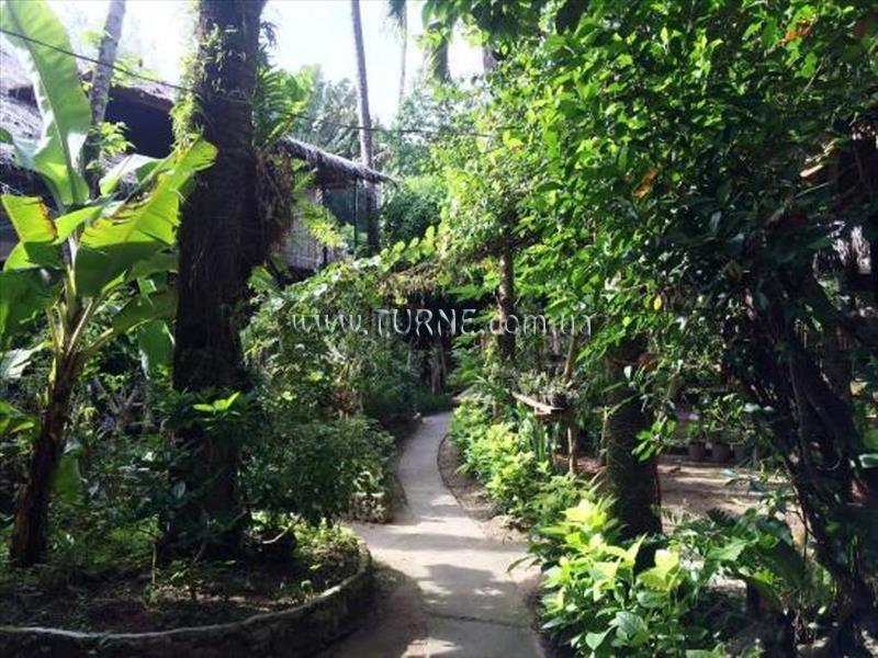 Изображение Orchid Resort 4*